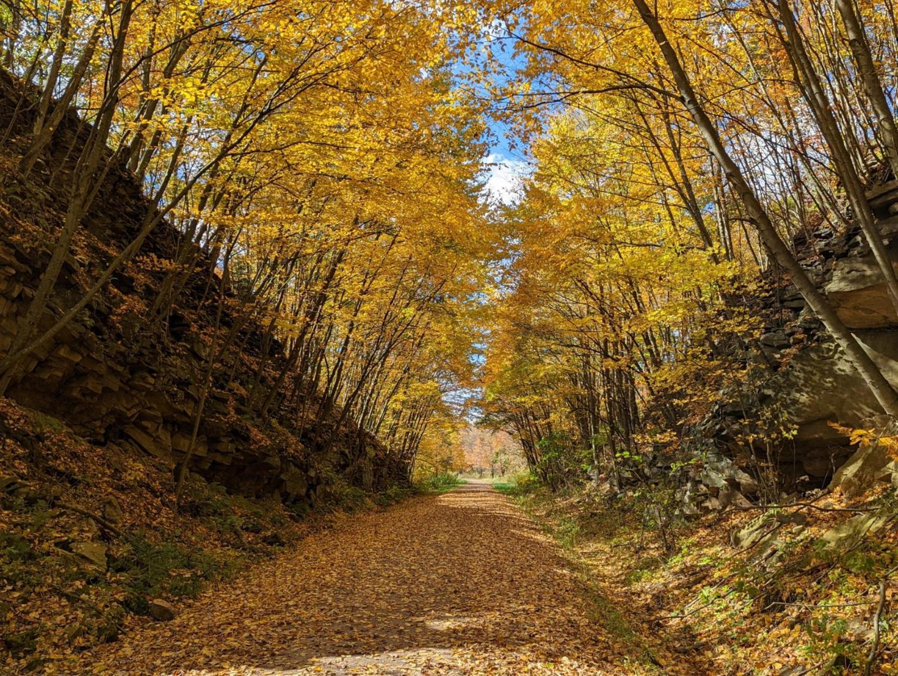 Stay In Ohiopyle In The Center Of It All, Ohiopyle, Pa 외부 사진